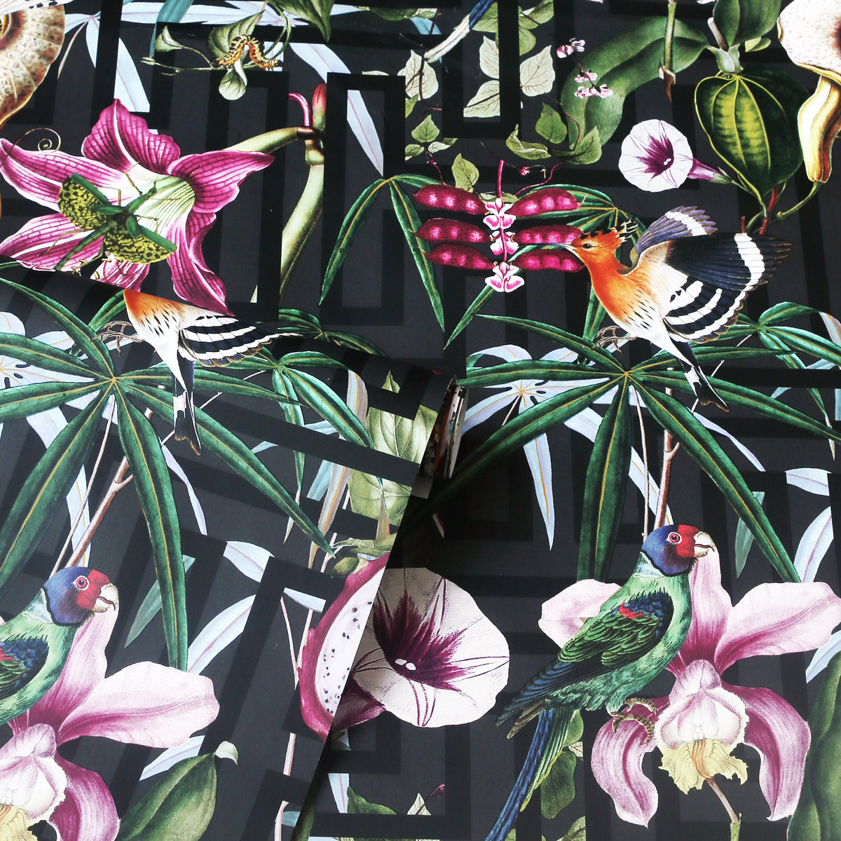 Dolce gabbana infinity new arrivals