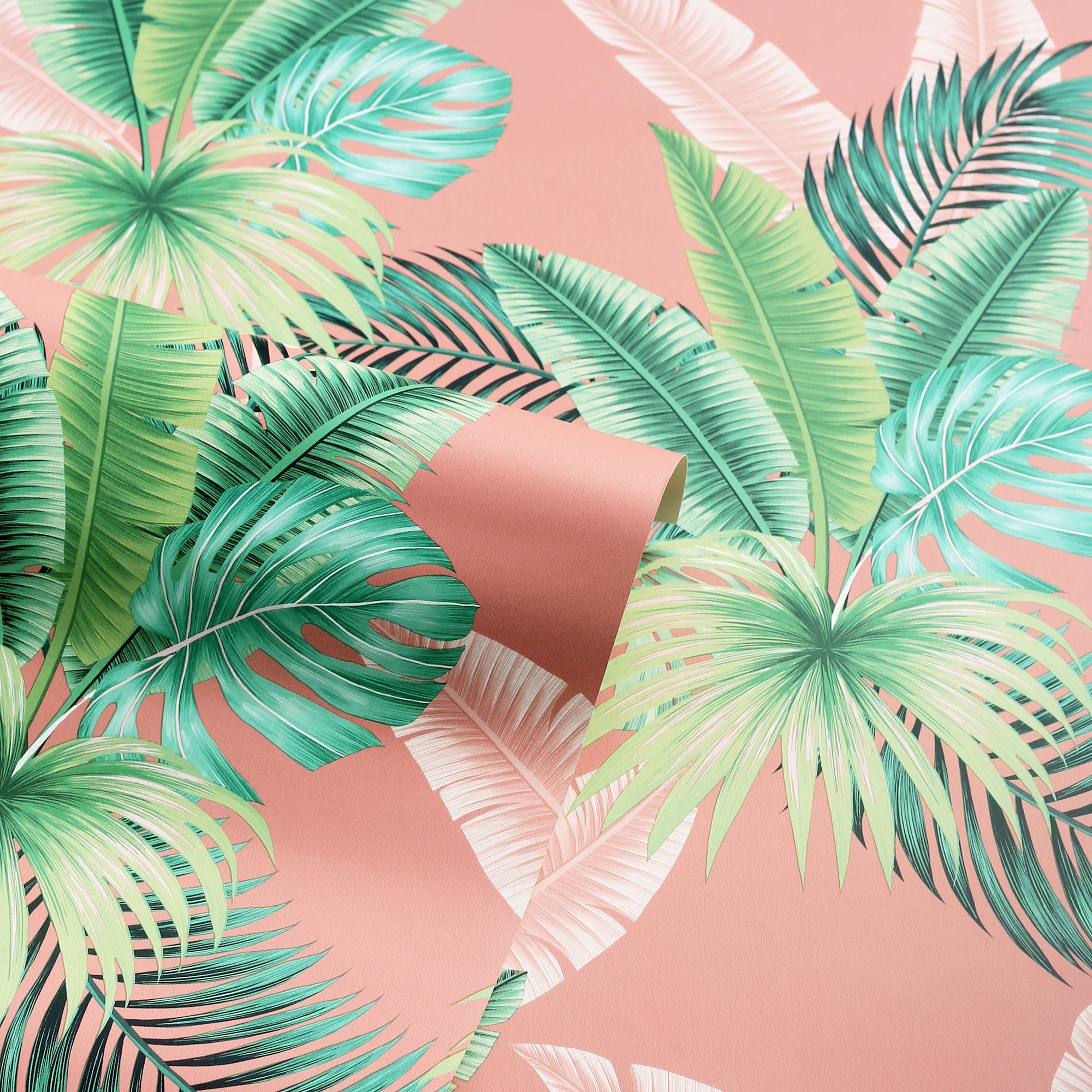 Miami Tropics Pink Wallpaper