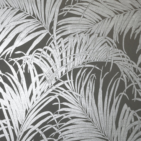 Palm Gunmetal Grey Kiss Foil Wallpaper