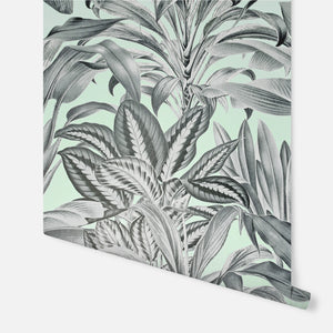 Greenhouse Plants Mint Wallpaper