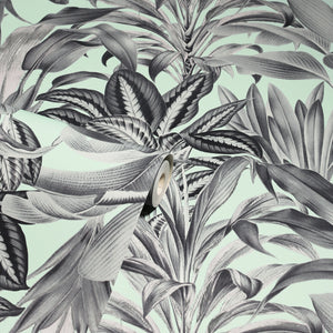 Greenhouse Plants Mint Wallpaper