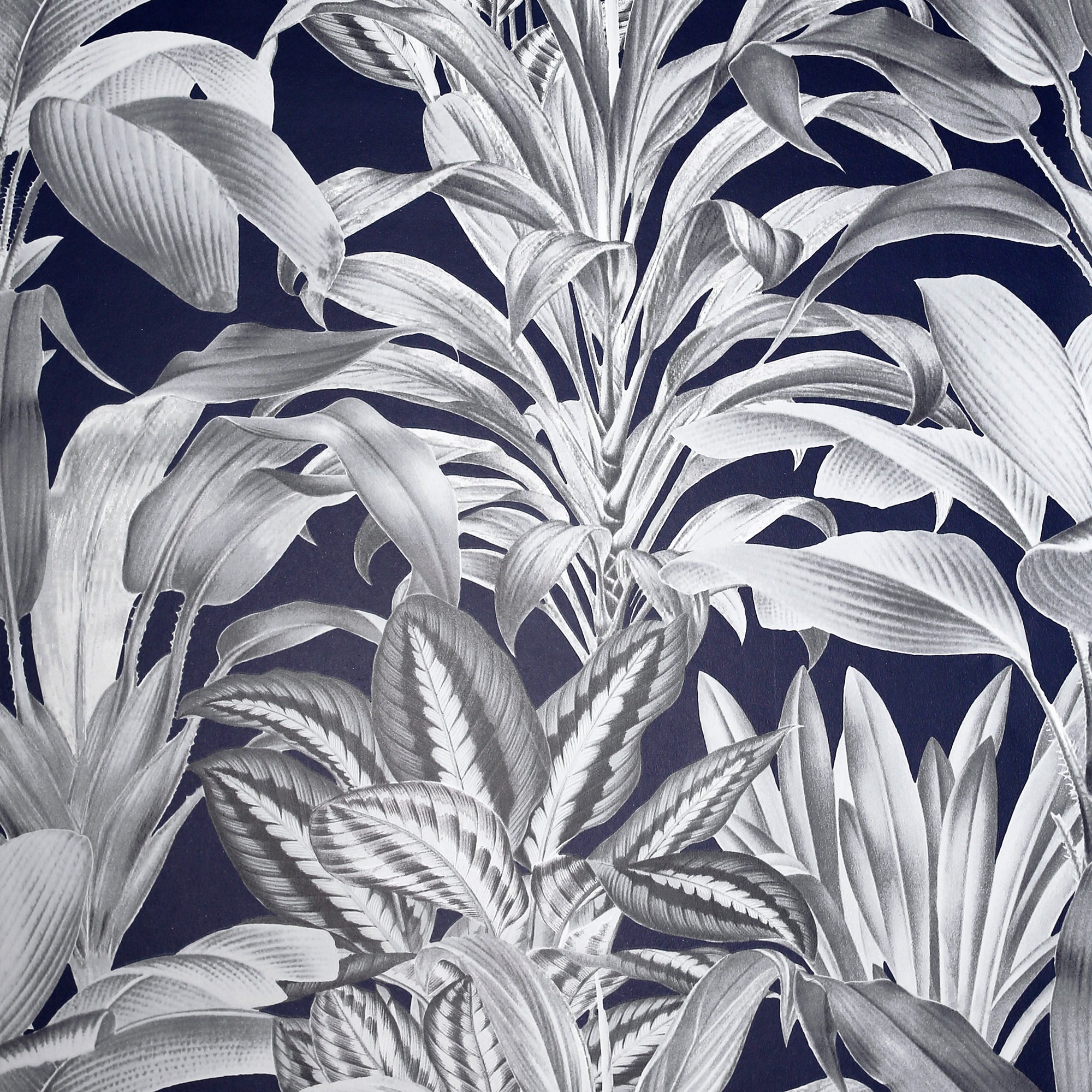 Greenhouse Plants Navy Wallpaper
