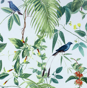 Exotic Garden Blue Wallpaper