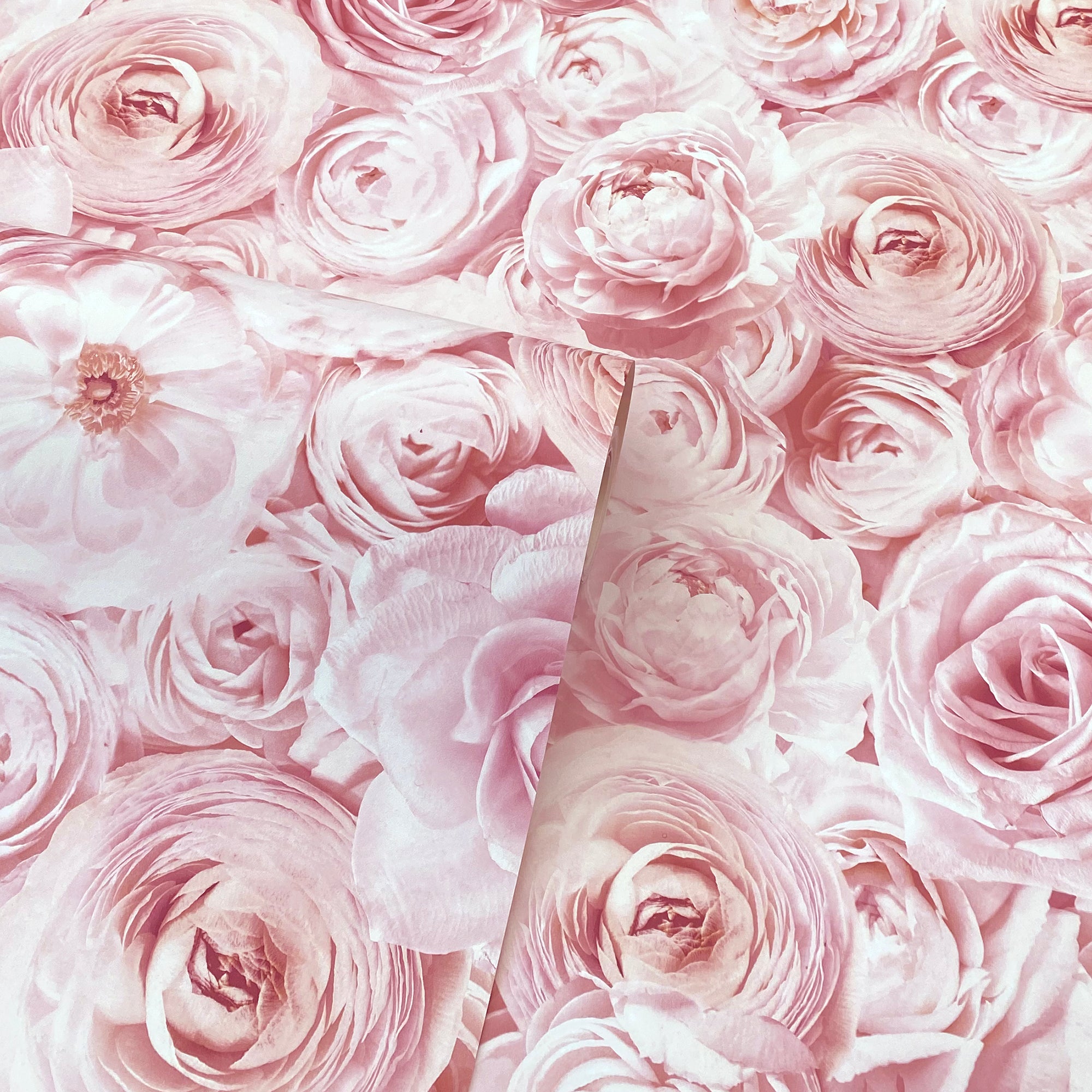 Floral Pink Wallpaper